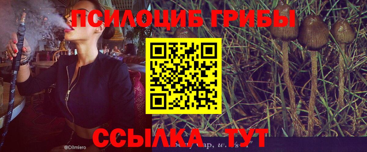 Галлюциногенные грибы мицелий Ростов-на-Дону