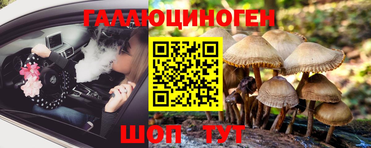 Галлюциногенные грибы GOLDEN TEACHER  Псилоцибиновые грибы прущие грибы  Ростов-на-Дону  Вход с VPN 